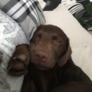 Meet your Posher, Savanna